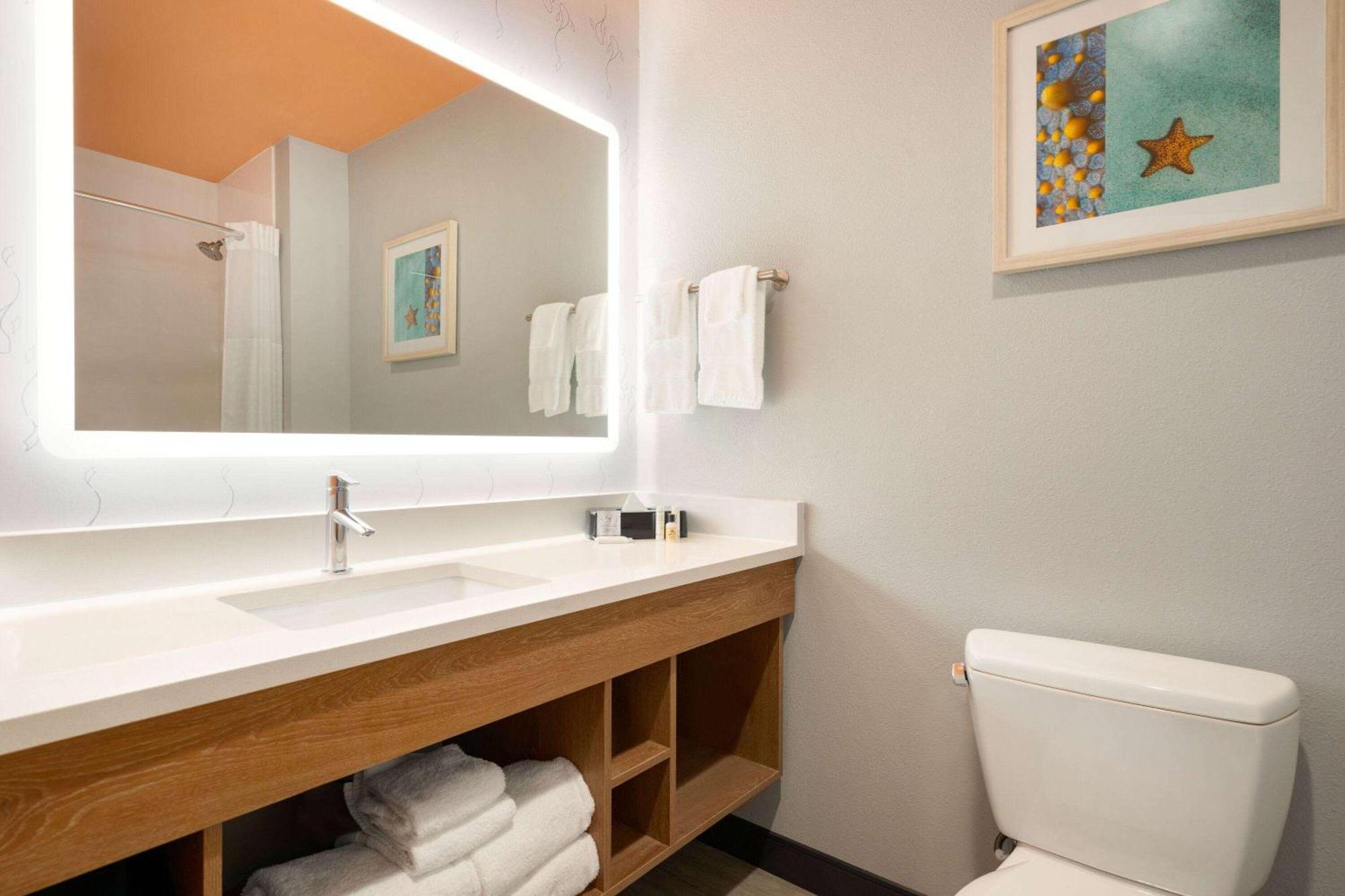 La Quinta Inn & Suites By Wyndham San Antonio Seaworld Lafb Zewnętrze zdjęcie