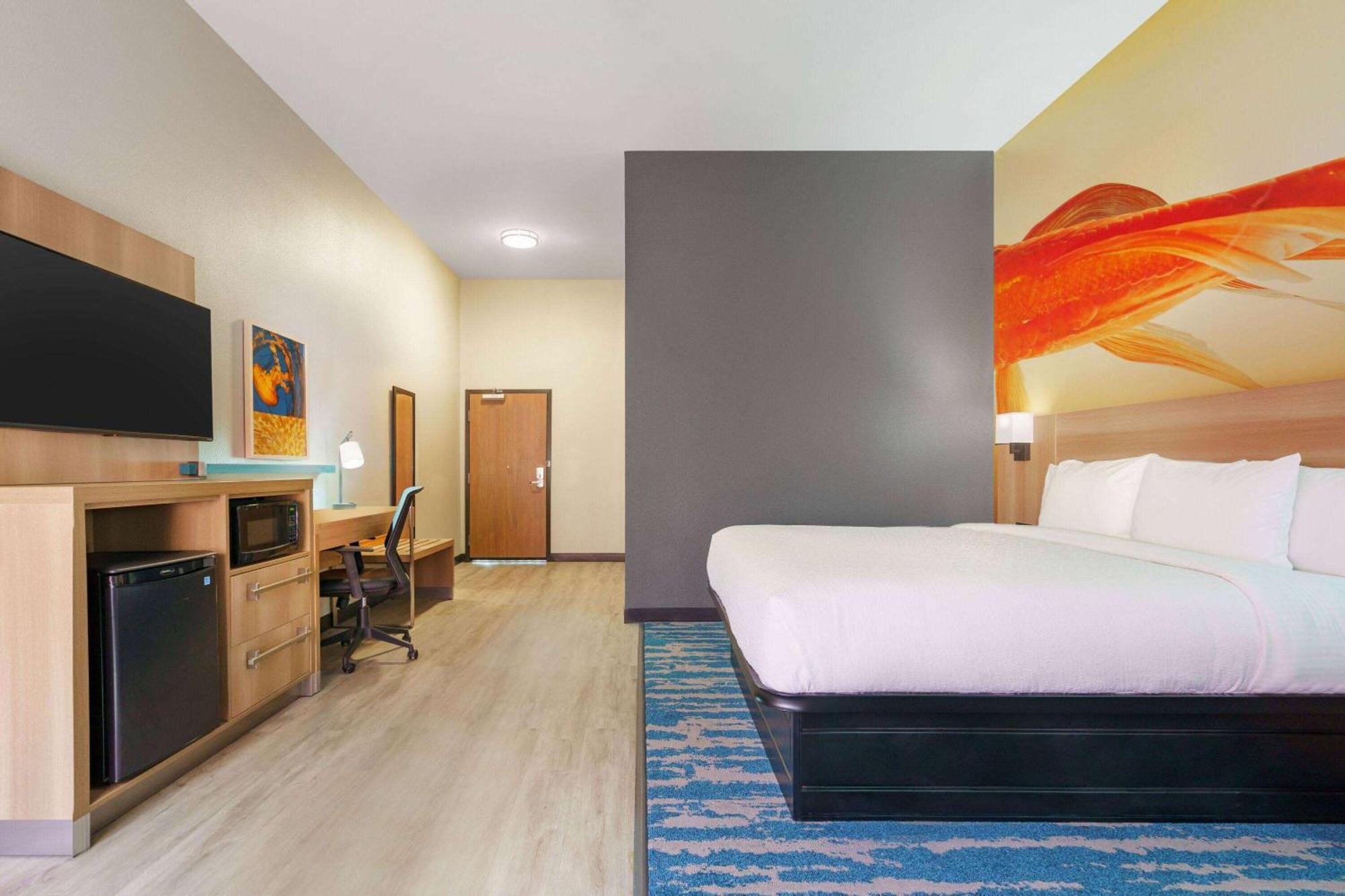 La Quinta Inn & Suites By Wyndham San Antonio Seaworld Lafb Zewnętrze zdjęcie